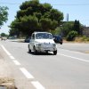 Montevago 2010 (487)